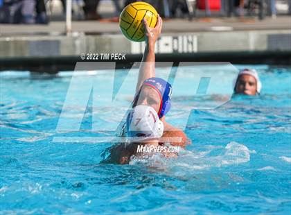 Thumbnail 3 in Laguna Beach @ Los Alamitos photogallery.