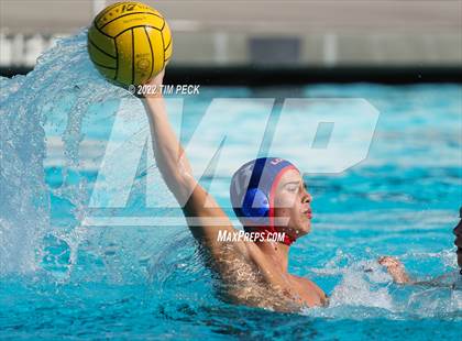 Thumbnail 2 in Laguna Beach @ Los Alamitos photogallery.