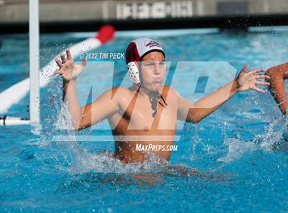 Thumbnail 2 in Laguna Beach @ Los Alamitos photogallery.