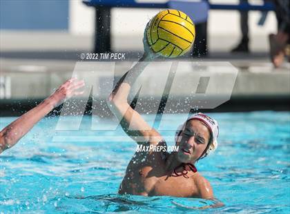 Thumbnail 3 in Laguna Beach @ Los Alamitos photogallery.
