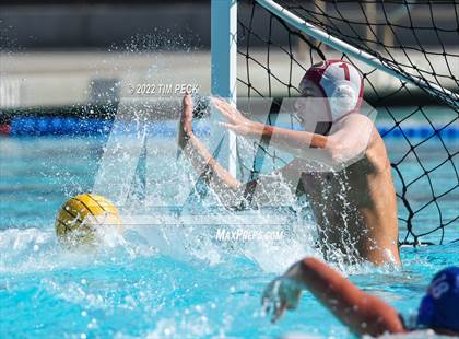 Thumbnail 3 in Laguna Beach @ Los Alamitos photogallery.