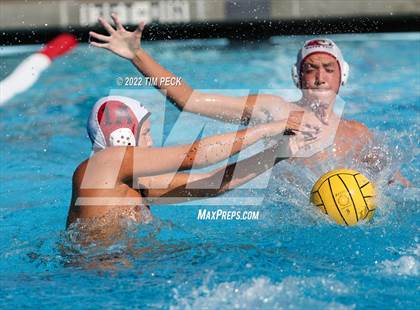 Thumbnail 2 in Laguna Beach @ Los Alamitos photogallery.