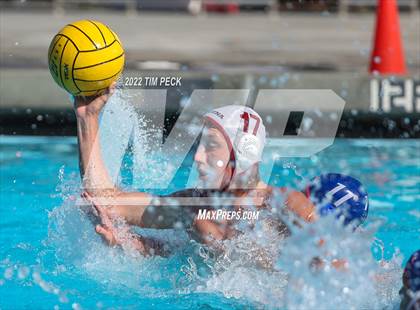 Thumbnail 2 in Laguna Beach @ Los Alamitos photogallery.
