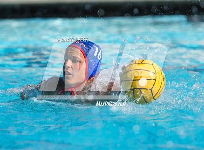 Thumbnail 3 in Laguna Beach @ Los Alamitos photogallery.