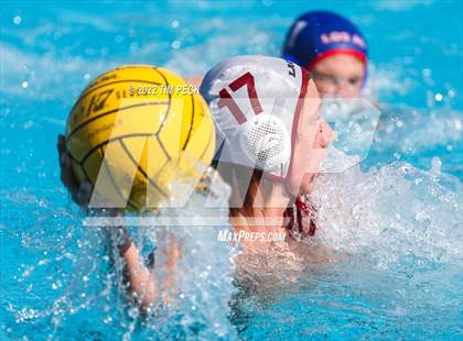 Thumbnail 2 in Laguna Beach @ Los Alamitos photogallery.