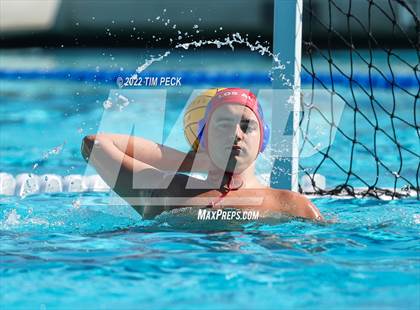 Thumbnail 1 in Laguna Beach @ Los Alamitos photogallery.