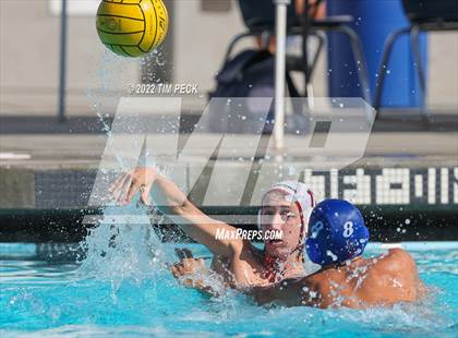 Thumbnail 2 in Laguna Beach @ Los Alamitos photogallery.
