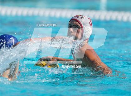 Thumbnail 2 in Laguna Beach @ Los Alamitos photogallery.