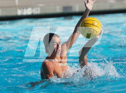 Thumbnail 2 in Laguna Beach @ Los Alamitos photogallery.