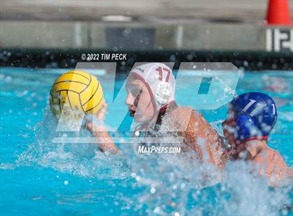 Thumbnail 3 in Laguna Beach @ Los Alamitos photogallery.
