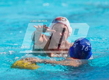 Thumbnail 1 in Laguna Beach @ Los Alamitos photogallery.