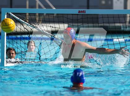 Thumbnail 3 in Laguna Beach @ Los Alamitos photogallery.