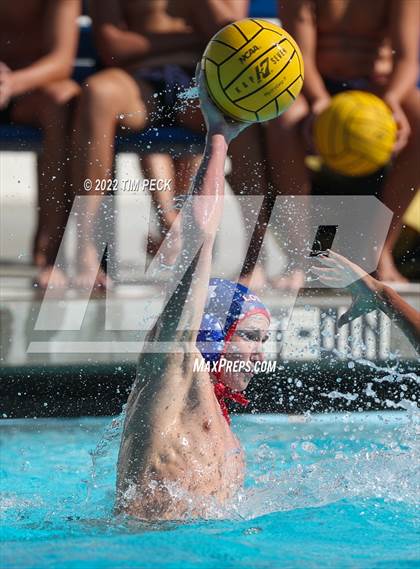 Thumbnail 2 in Laguna Beach @ Los Alamitos photogallery.