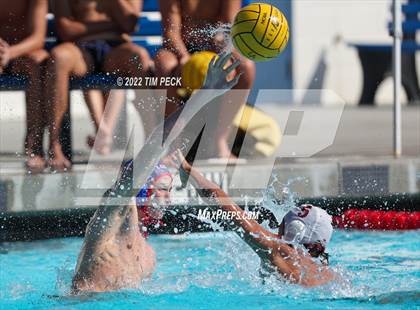 Thumbnail 3 in Laguna Beach @ Los Alamitos photogallery.