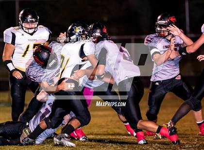 Thumbnail 1 in Blanket @ Strawn photogallery.
