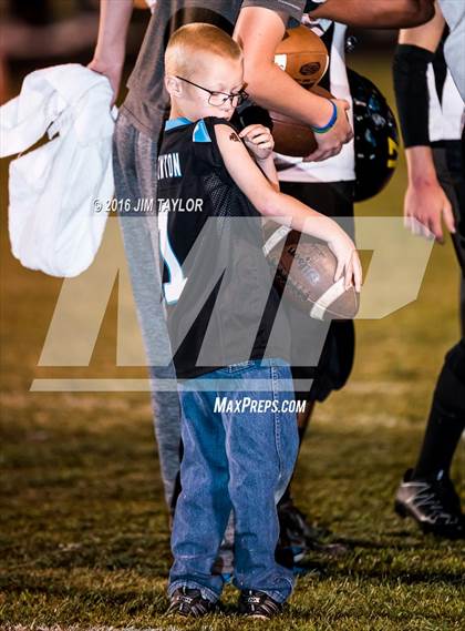 Thumbnail 2 in Blanket @ Strawn photogallery.