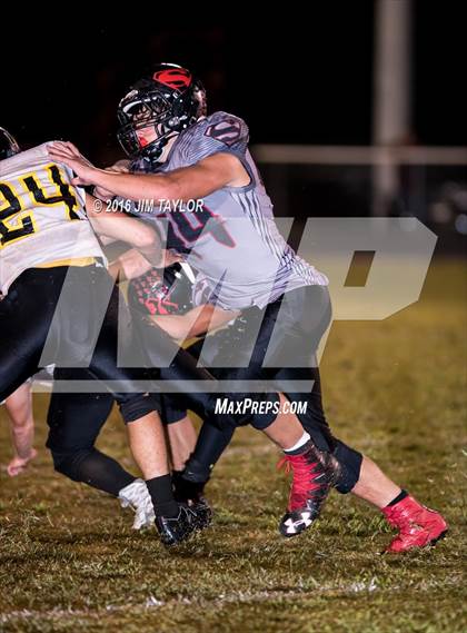 Thumbnail 3 in Blanket @ Strawn photogallery.