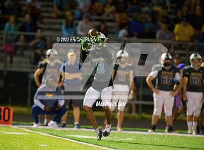 Thumbnail 3 in East Lake @ Steinbrenner photogallery.