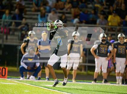 Thumbnail 1 in East Lake @ Steinbrenner photogallery.