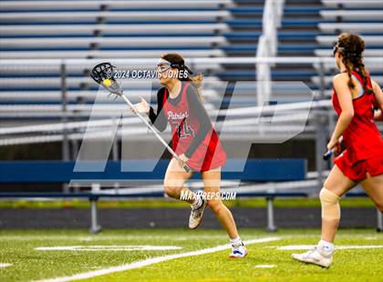Thumbnail 1 in Patriot @ Charles J. Colgan photogallery.