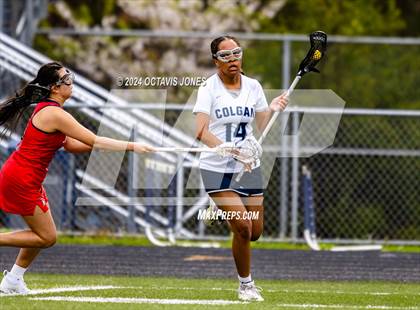 Thumbnail 1 in Patriot @ Charles J. Colgan photogallery.