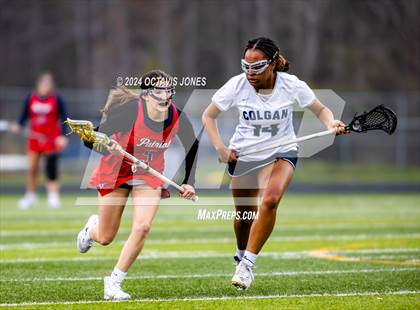 Thumbnail 2 in Patriot @ Charles J. Colgan photogallery.