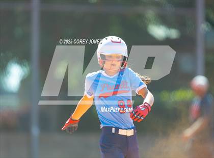 Thumbnail 1 in St. Anne-Pacelli vs Westfield photogallery.