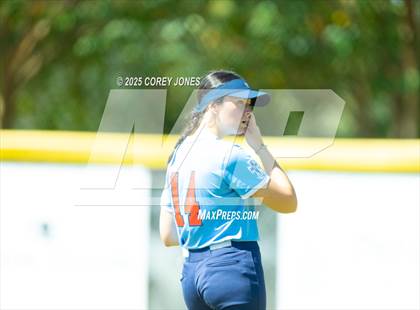 Thumbnail 2 in St. Anne-Pacelli vs Westfield photogallery.