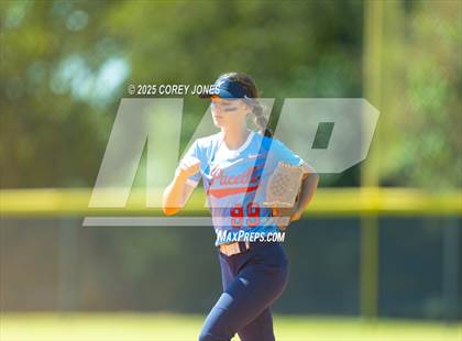 Thumbnail 3 in St. Anne-Pacelli vs Westfield photogallery.