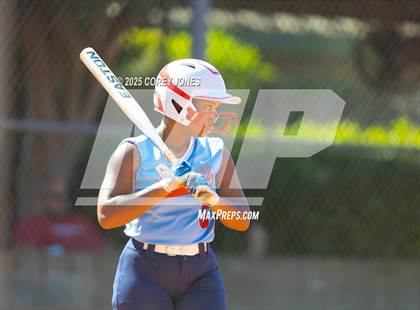 Thumbnail 3 in St. Anne-Pacelli vs Westfield photogallery.