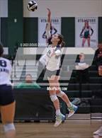 Photo from the gallery "Kingwood @ Stratford"