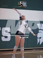 Photo from the gallery "Kingwood @ Stratford"