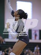Photo from the gallery "Kingwood @ Stratford"