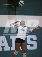 Photo from the gallery "Kingwood @ Stratford"