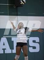 Photo from the gallery "Kingwood @ Stratford"