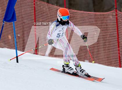 Thumbnail 3 in NYSPHAA Section V Class A&B Giant Slalom Final (First Run) photogallery.