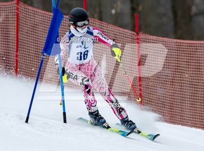 Thumbnail 3 in NYSPHAA Section V Class A&B Giant Slalom Final (First Run) photogallery.