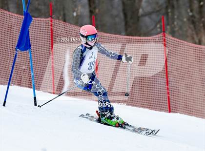 Thumbnail 3 in NYSPHAA Section V Class A&B Giant Slalom Final (First Run) photogallery.