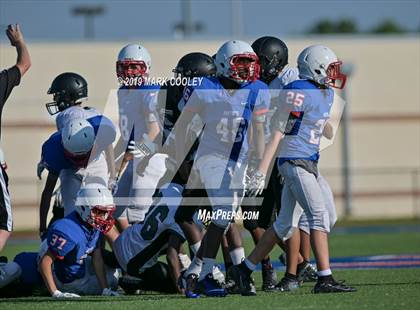 Thumbnail 1 in Lake Ridge @ Midway B photogallery.