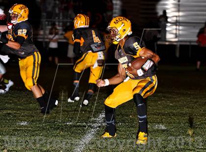 Thumbnail 2 in Chaparral @ Marcos de Niza photogallery.