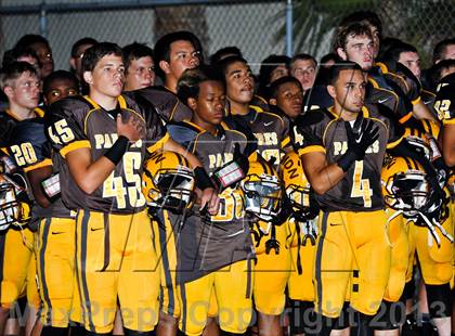 Thumbnail 1 in Chaparral @ Marcos de Niza photogallery.