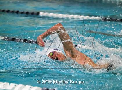 Thumbnail 1 in Staples vs Ridgefield photogallery.