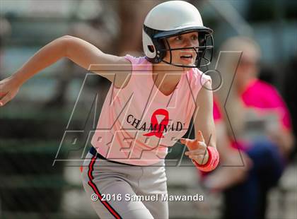 Thumbnail 3 in Chaminade vs  Notre Dame (SO) photogallery.