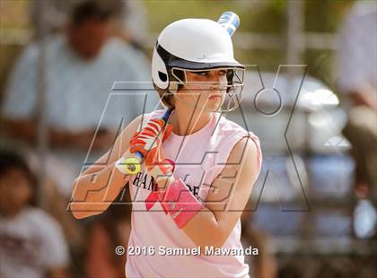 Thumbnail 2 in Chaminade vs  Notre Dame (SO) photogallery.