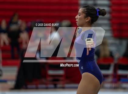 Thumbnail 1 in Gainesville Invitational (Floor Exercise) photogallery.