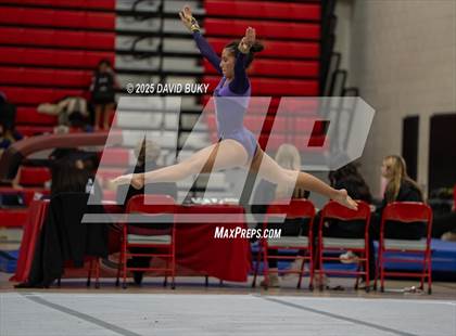 Thumbnail 2 in Gainesville Invitational (Floor Exercise) photogallery.
