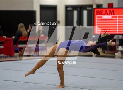 Thumbnail 3 in Gainesville Invitational (Floor Exercise) photogallery.