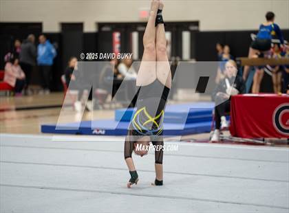 Thumbnail 2 in Gainesville Invitational (Floor Exercise) photogallery.