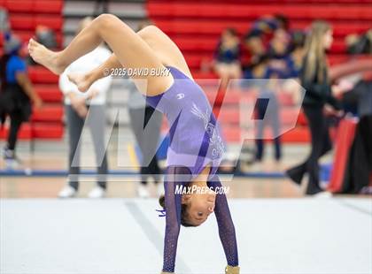 Thumbnail 3 in Gainesville Invitational (Floor Exercise) photogallery.