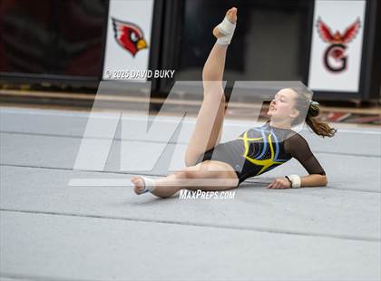 Thumbnail 2 in Gainesville Invitational (Floor Exercise) photogallery.
